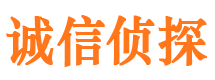 汝阳市侦探公司